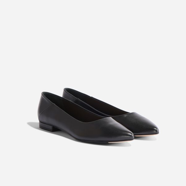 Fina Pointed Toe Flat