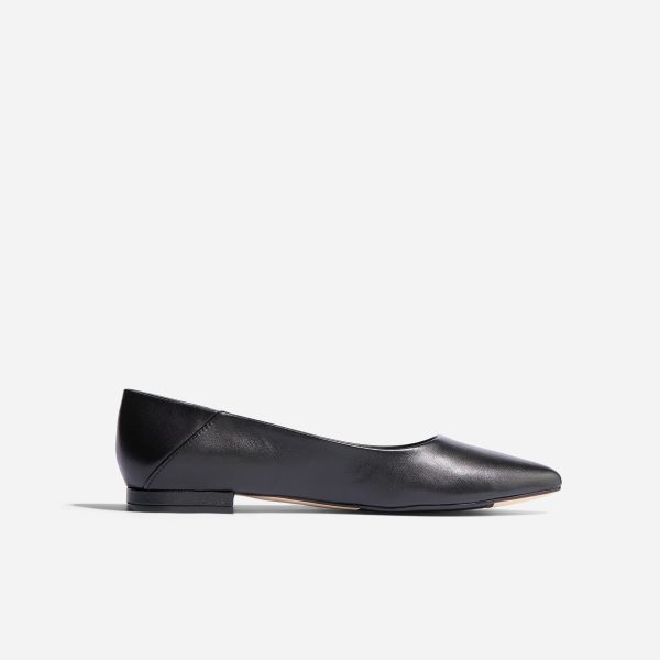Fina Pointed Toe Flat - Image 3