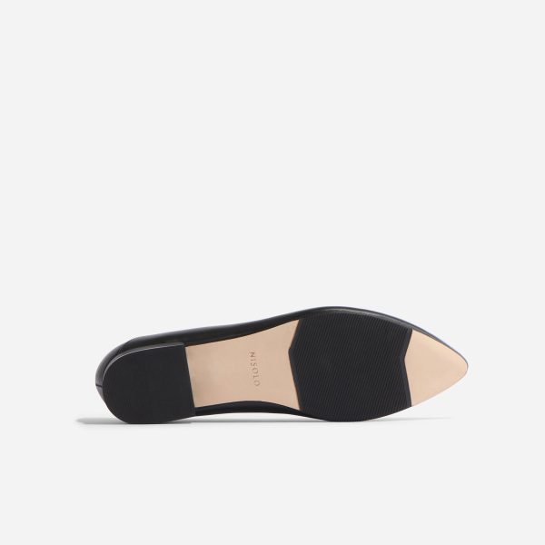 Fina Pointed Toe Flat - Image 7